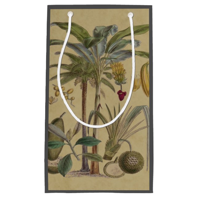 Palm Antique Tropical Frucht Botanische Kunst Kleine Geschenktüte (Vorderseite)