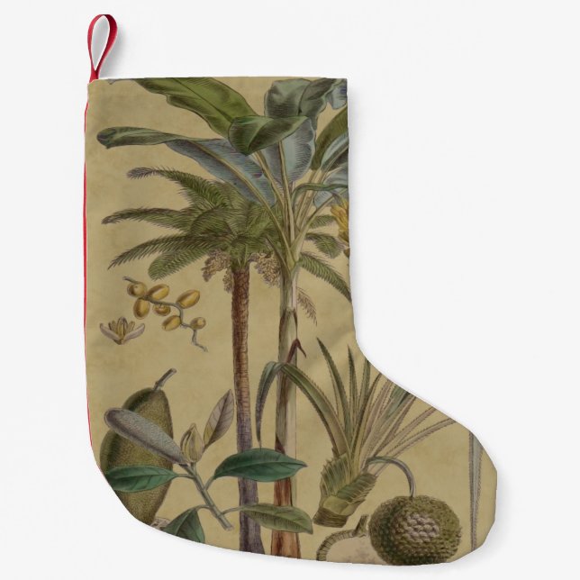 Palm Antique Tropical Frucht Botanische Kunst Kleiner Weihnachtsstrumpf (Vorderseite)