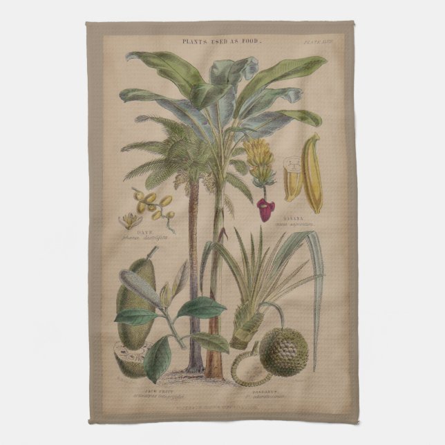 Palm Antique Tropical Frucht Botanische Kunst Küchentuch (Vertikal)