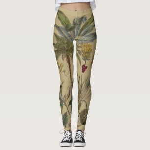 Palm Antique Tropical Frucht Botanische Kunst Leggings