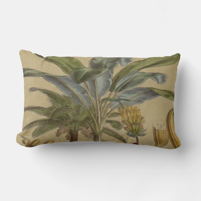 Palm Antique Tropical Frucht Botanische Kunst Lendenkissen (Vorderseite)