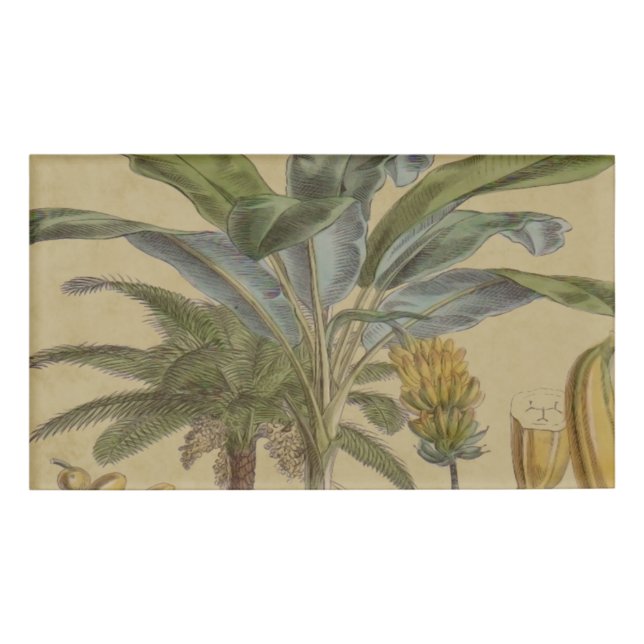 Palm Antique Tropical Frucht Botanische Kunst Namenschild (Vorderseite)