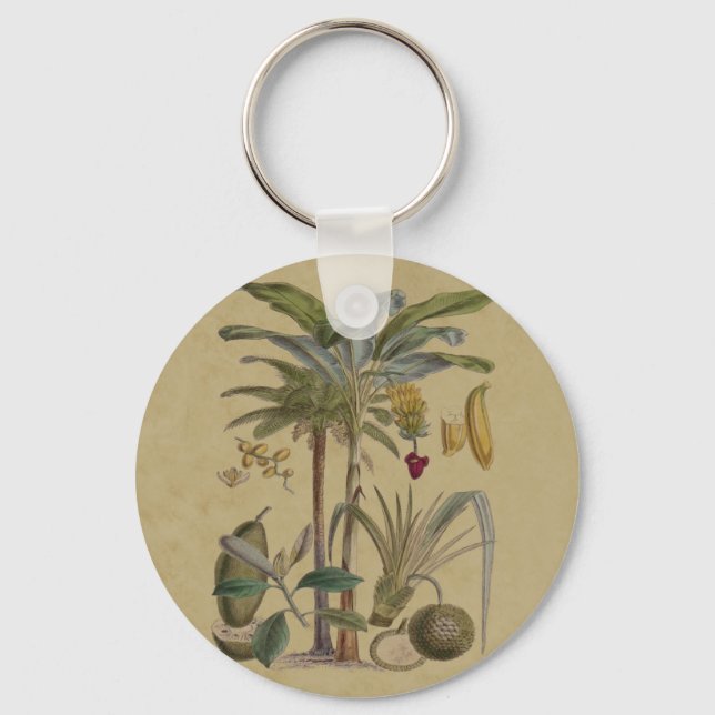 Palm Antique Tropical Frucht Botanische Kunst Schlüsselanhänger (Vorderseite)