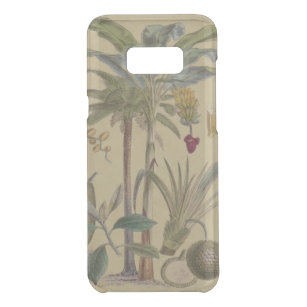 Palm Antique Tropical Frucht Botanische Kunst Get Uncommon Samsung Galaxy S8 Plus Hülle