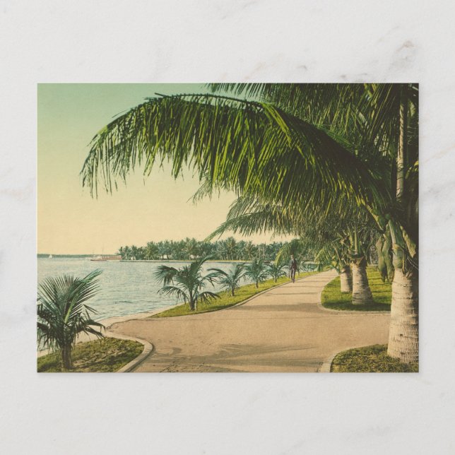Palm Beach 1898 Vintag Florida Szene Postkarte (Vorderseite)