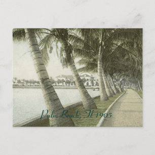 Palm Beach 1905 Postkarte