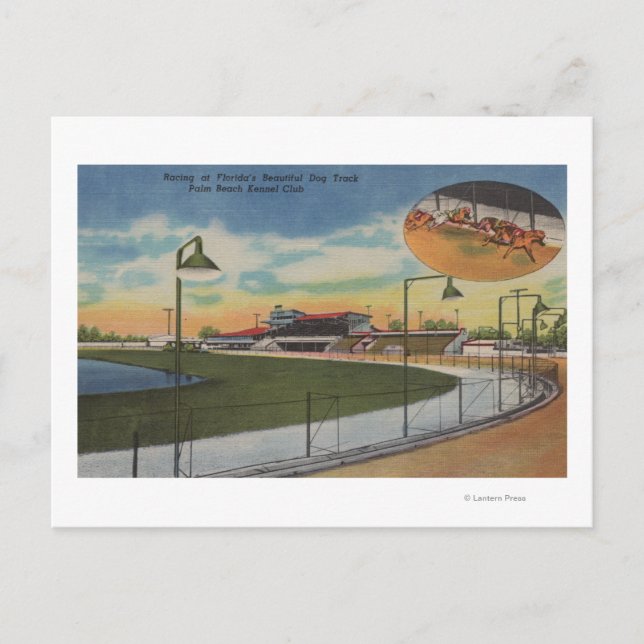 Palm Beach, FL - Kennel Club, Dog Racing Track Postkarte (Vorderseite)