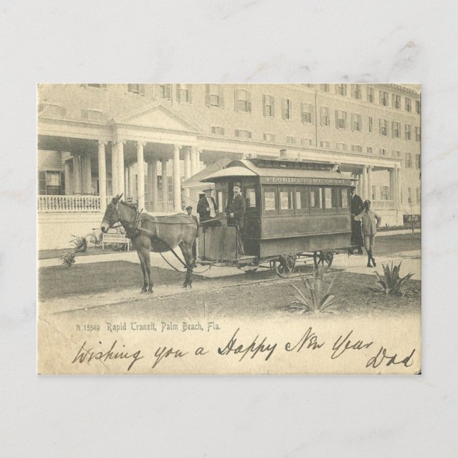 Palm Beach, FLorida Resort und Eselwagen 1908 Postkarte (Vorderseite)