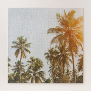 Palm Beach Landschaftliche Aussicht