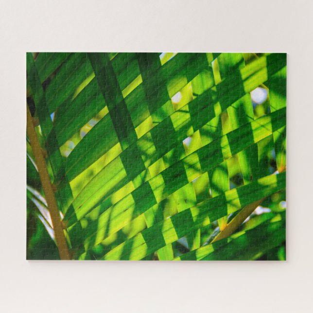 Palm Blätter Kariert, Kapaa, Kauai, Hawaii (Horizontal)