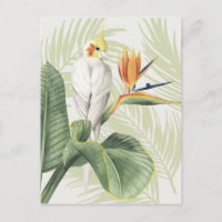 Palm-Blätter mit weißem Vogel