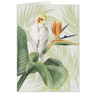 Palm-Blätter mit Weißgeflügel