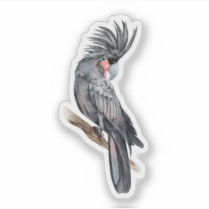 Palm Cockatoo, kundenspezifisch geschnitten Vinyl  Aufkleber