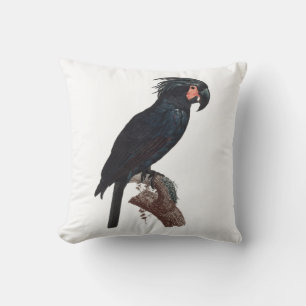 Palm Cockatoo, Probosciger aterrimus Parrot Kissen