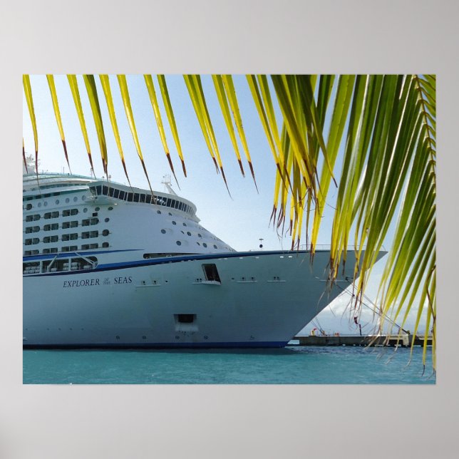 Palm Framed Bow Poster (Vorne)