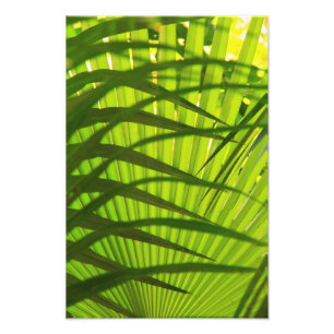 Palm Frond Layers, Landschaftsmuster Abstrakt Fotodruck