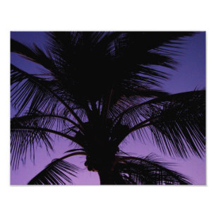Palm Frond Silhouette Fotodruck