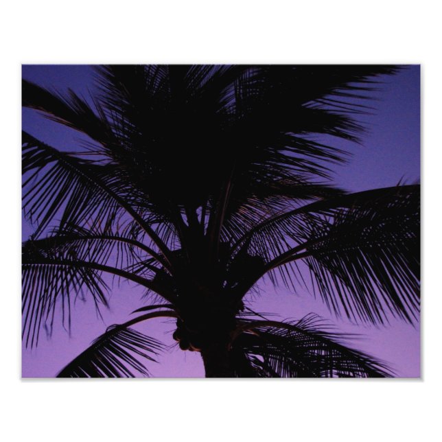 Palm Frond Silhouette Fotodruck (Vorne)