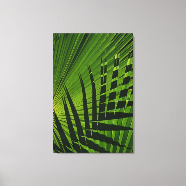 Palm Frontend auf Leinwand (Vorderseite)