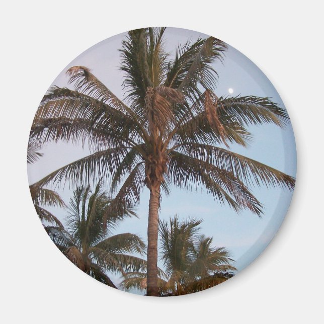 Palm Gets Mooned Magnet (Vorne)