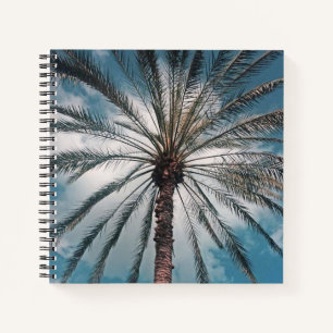 Palm - notizbuch