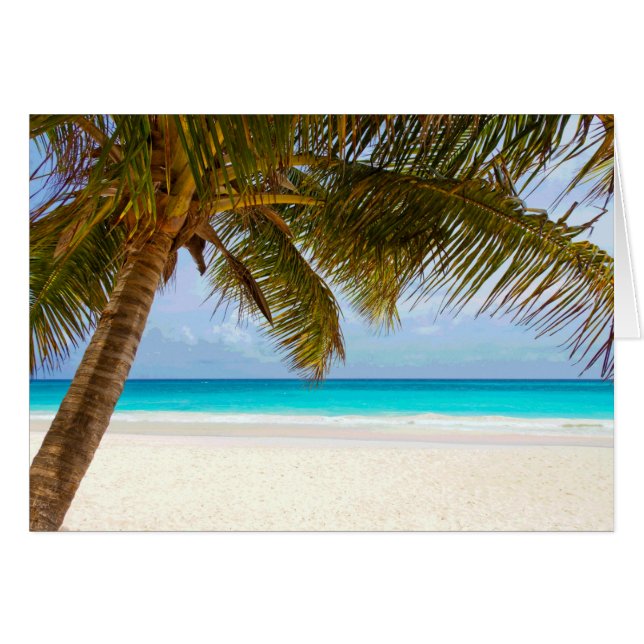 Palm Paradise Blue Sky Sunshine (Vorderseite (Horizontal))