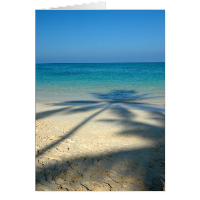 Palm, Plage de Lanikai (Devant)