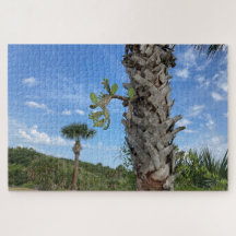 Palm & Prickle - Stille Rätsel