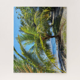 Palm-Shaded Path Along Amatique Bay