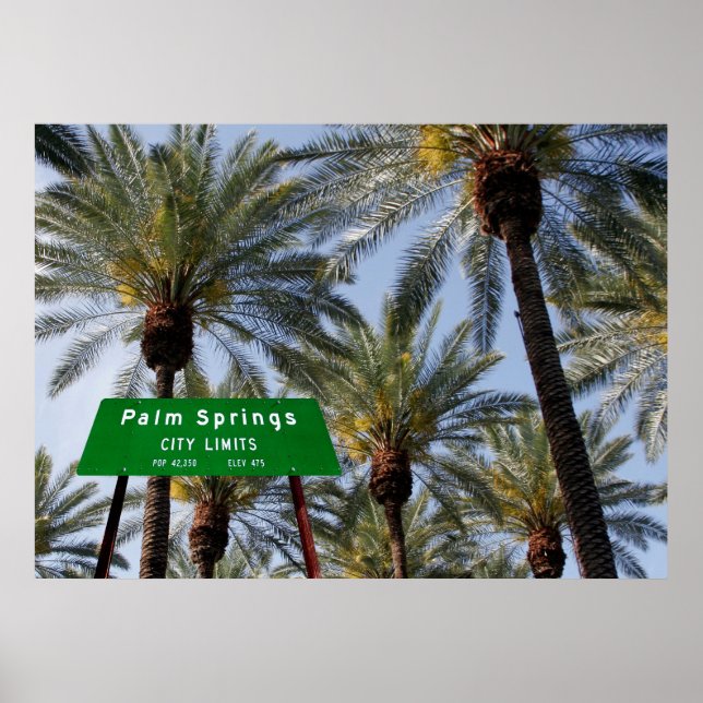 Palm Springs heißt dich herzlich willkommen! Poster (Vorne)