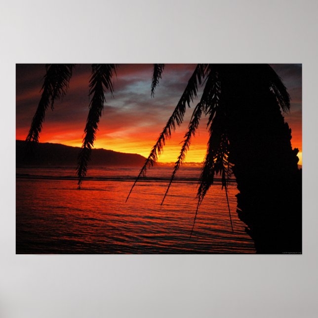 Palm Sunset Poster (Vorne)