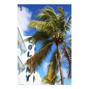 Palm Tree am Miami Beach Fotodruck
