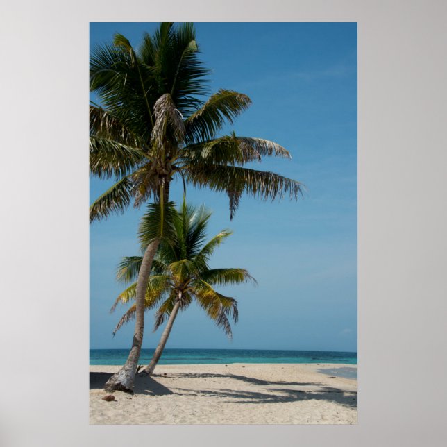 Palm tree and White Beach Poster (Vorne)