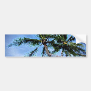 Palm Tree Autoaufkleber