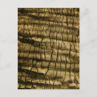 Palm Tree Bark Einladungspostkarte