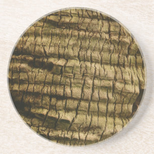 Palm Tree Bark Getränkeuntersetzer