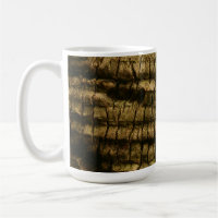 Palm Tree Bark