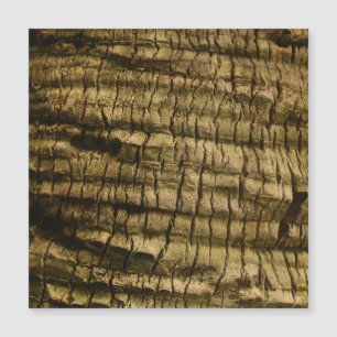 Palm Tree Bark Magnetkarte