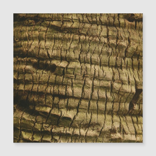 Palm Tree Bark Magnetkarte (Vorderseite)