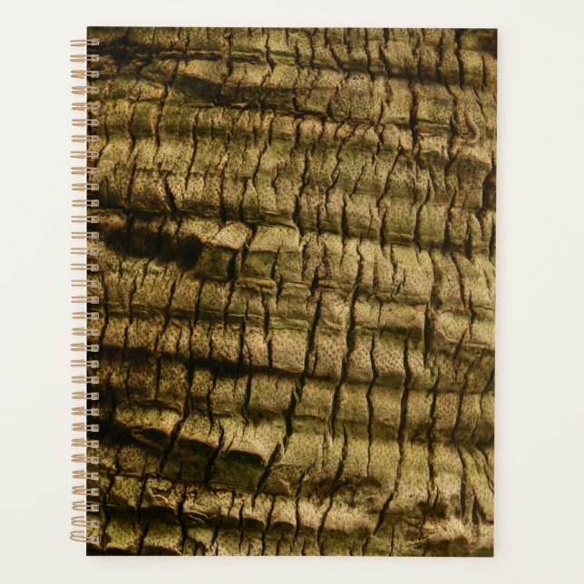 Palm Tree Bark Planer (Vorderseite)