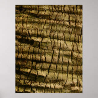 Palm Tree Bark Poster