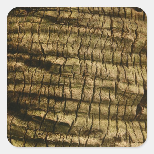 Palm Tree Bark Quadratischer Aufkleber (Vorderseite)