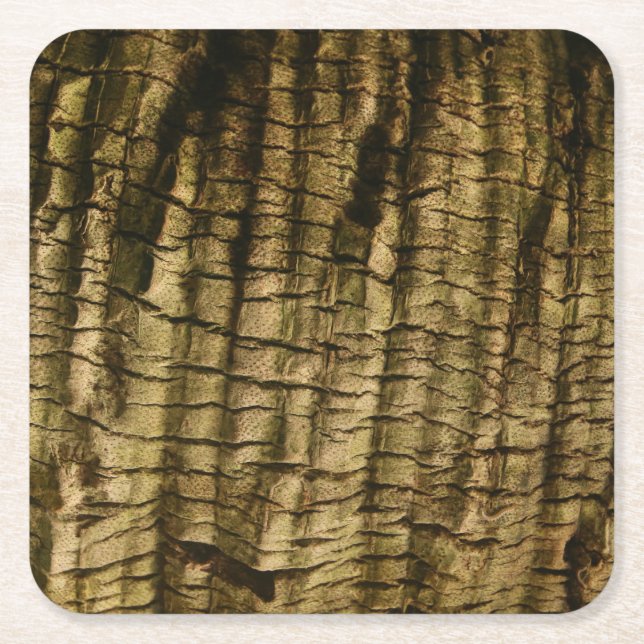 Palm Tree Bark Rechteckiger Pappuntersetzer (Vorderseite)