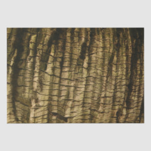 Palm Tree Bark Seidenpapier