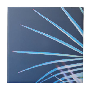 Palm Tree Blätter Minimalismus Sketch Fliese