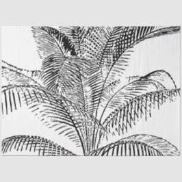 Palm Tree Blätter Schwarz-Weiß Abstraktes Muster Seidenpapier
