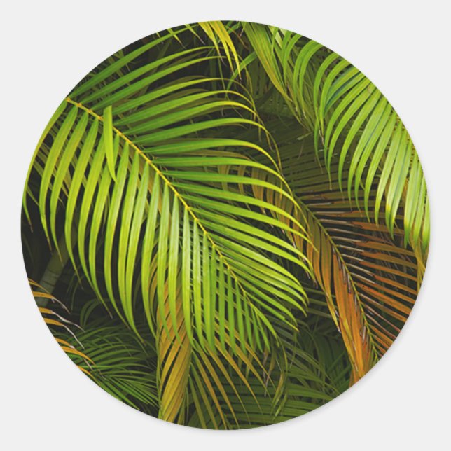 Palm Tree Blätter Summer Beach Tropical Wedding Runder Aufkleber (Vorderseite)