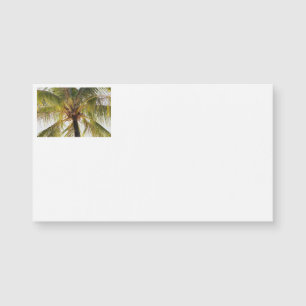 Palm Tree Business Cards Magnetkarte