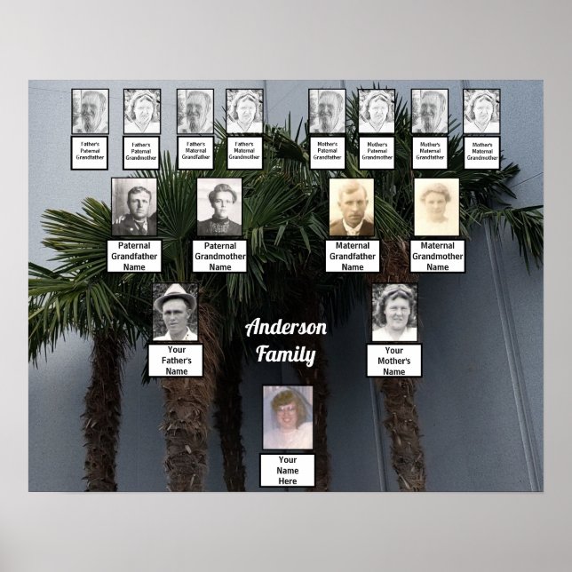 Palm Tree Cluster Photo Family Tree Poster (Devant)