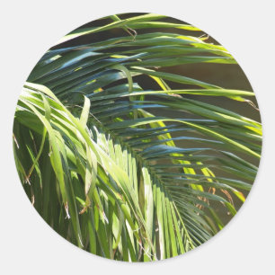 Palm tree Fronds Runder Aufkleber